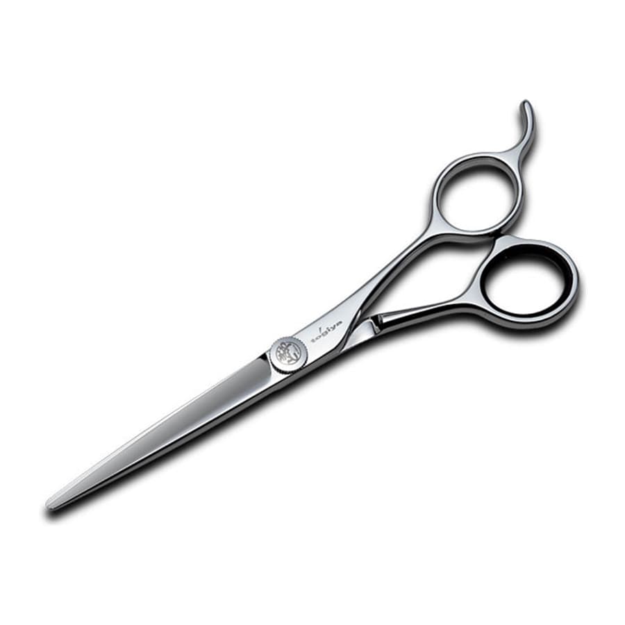 Japanese hairdressing scissors Togiya CPC