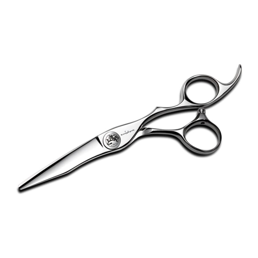 Japanese hairdressing scissors Togiya MELODY